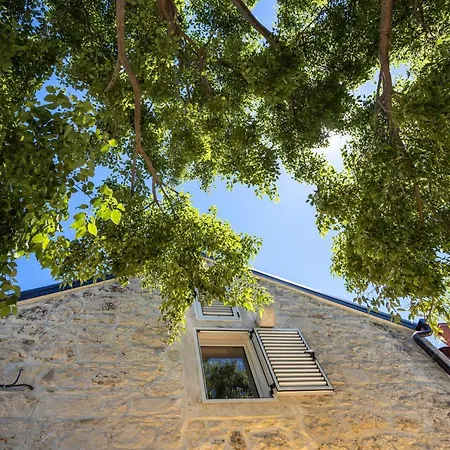 Appartamento Apartments Lory,On Promenade,Beach Nikolina,Wifi,Parking Baška Voda